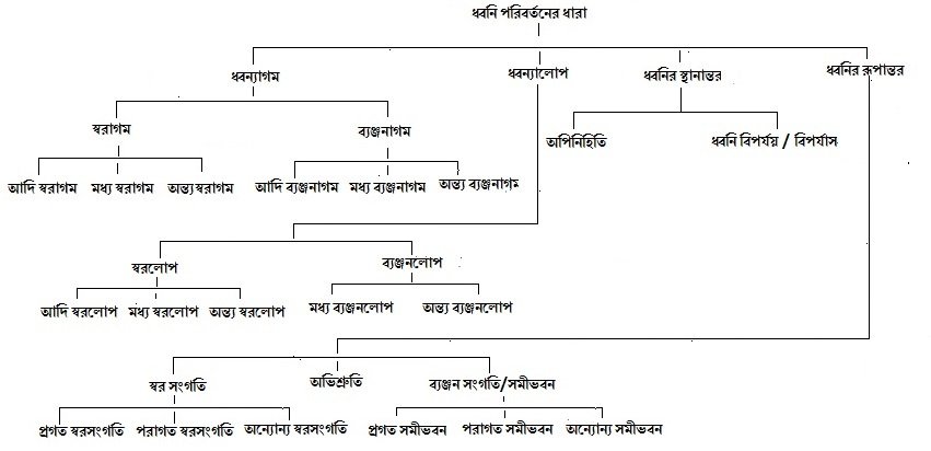 পরিবর্তনের ধারা